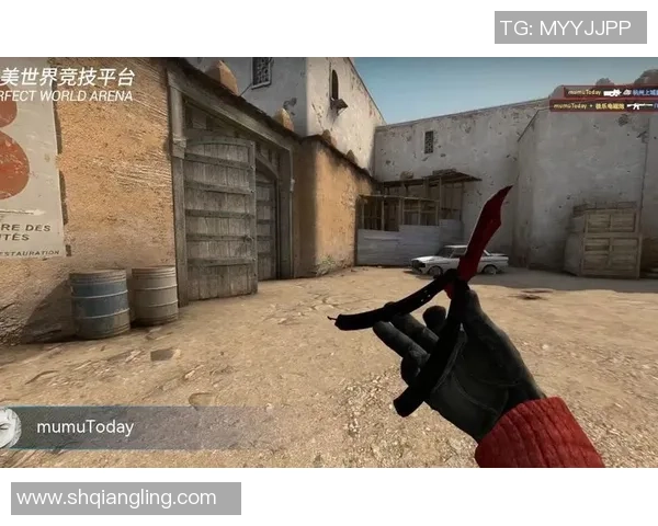 CSGO战术解析:深入探讨TES战队的游戏节奏与策略运用 CSGO战术解析:深入探讨TES战队的游戏节奏与策略运用